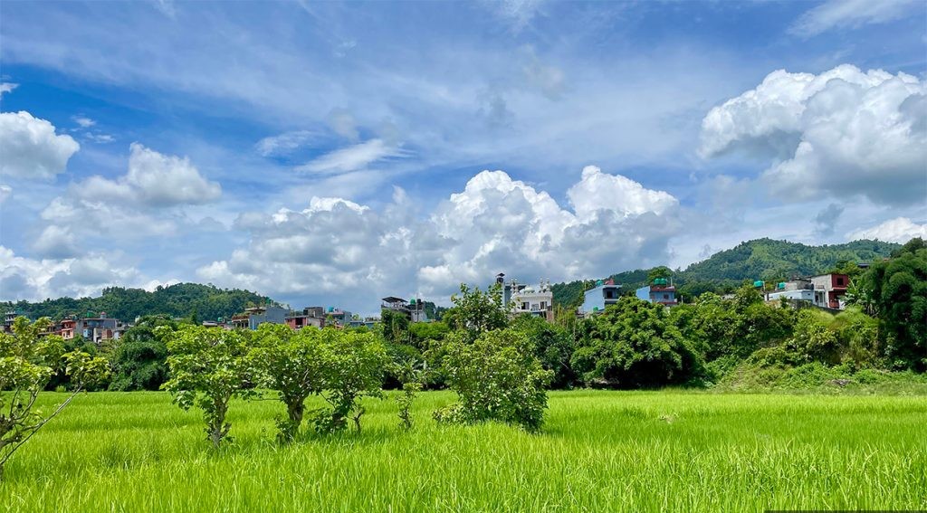 आज देशभरको मौसम मुख्यतया सफा रहने