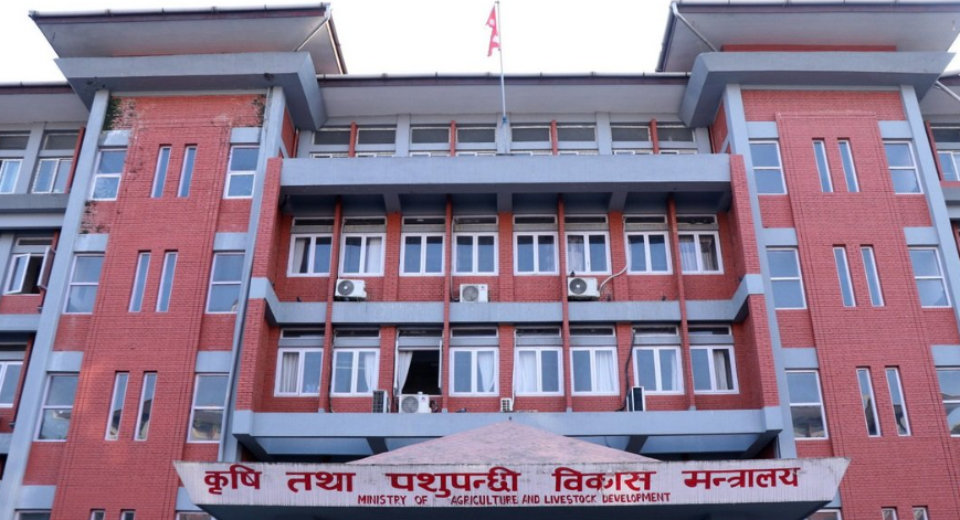 वर्षाले देशभर कृषि र पशुपन्छी क्षेत्रमा तीन अर्ब ५५ करोडको क्षति