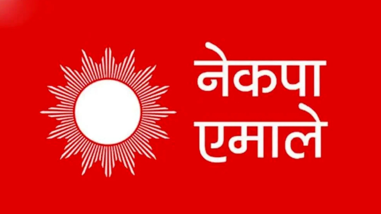 काठमाडौँमा ४८ मध्ये विद्या पक्षका ३५ जना प्रतिनिधि छनोट, ३ अध्यक्ष बने अभिभावक