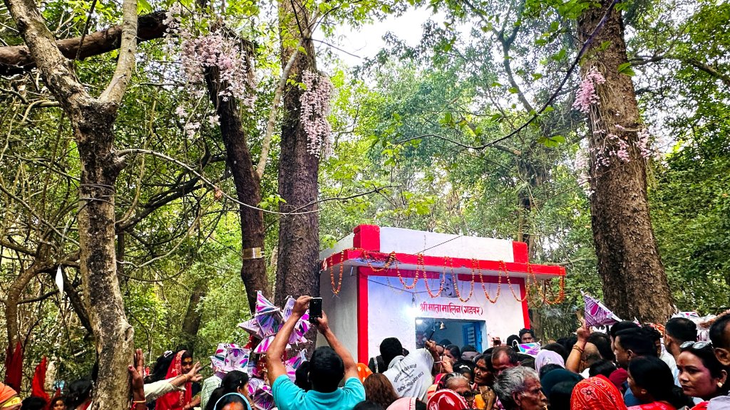 वैशाख १ गते मात्र फुल्ने फूलबारीमा बिहानैदेखि घुइँचो