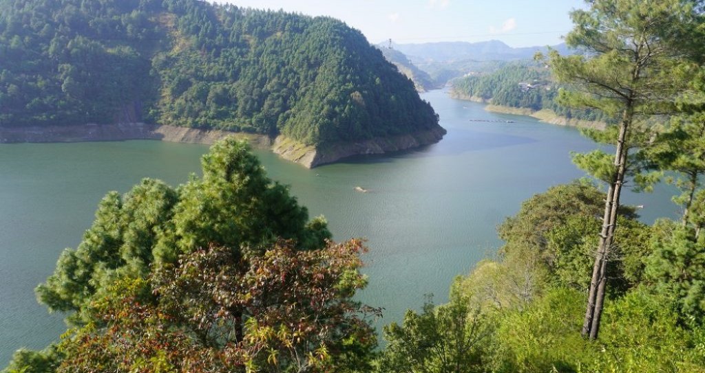 विषादी मिसिएको पानीले कुलेखानीमा घट्यो माछा उत्पादन