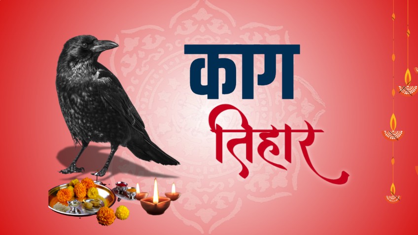 काग तिहार : यमराजको दूतको पूजा र प्रतीक